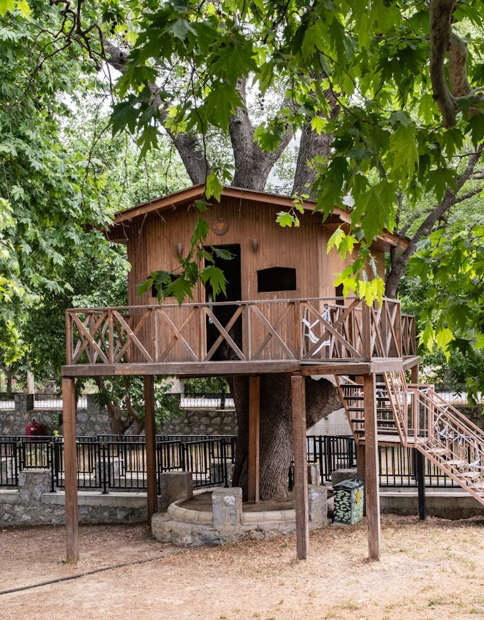 ours-journey Explore this rustic treehouse nestled in İzmir, Türkiye, offering a serene escape amidst lush greenery.