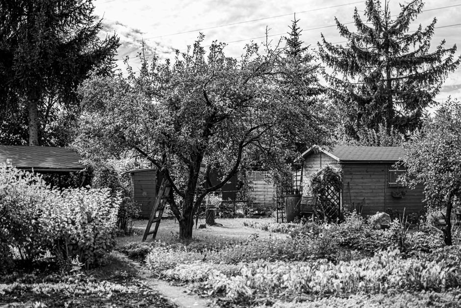 Juodai balta sodo panorama su medžiais ir nedideliais kaimiškais nameliais
