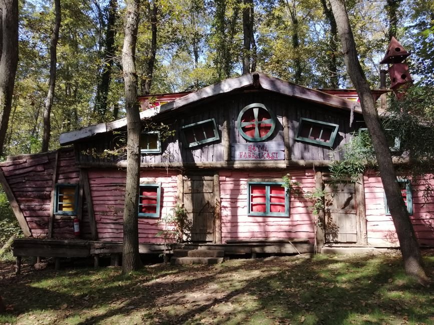 Žavus medinis namelis miške, puiki vieta vaikų žaidimams gamtoje
