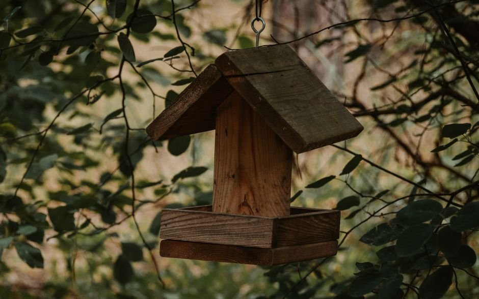 Medinis inkilas žalioje lapijoje – rinkos pokyčių pavyzdys medienos sektoriuje
